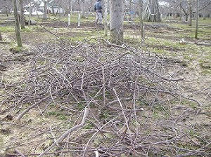 巡回安全パトロール