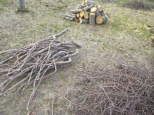 巡回安全パトロール