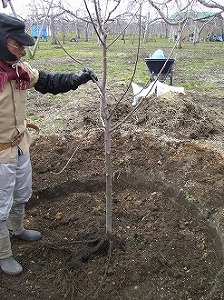 巡回安全パトロール